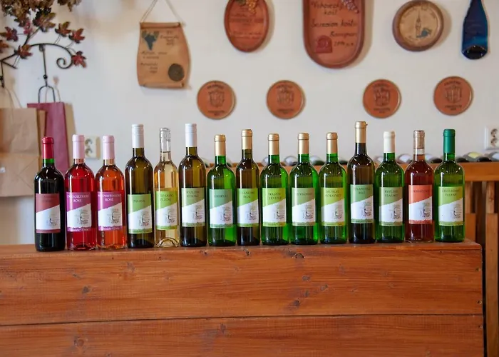 Accommodatie bij particulieren U Vrbu